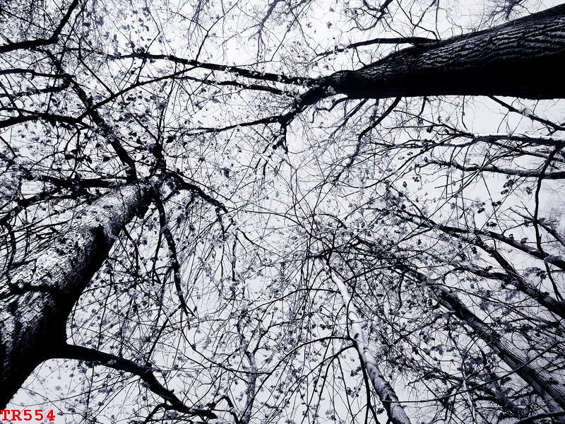 TR554 - TRANH LED 3D ĐÍNH ĐÁ Ở HẬU GIANG TRỪU TƯỢNG TR554 - TRANH LED 3D ĐÍNH ĐÁ Ở HẬU GIANG TRỪU TƯỢNG