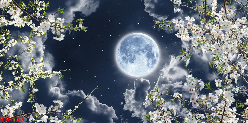 TR633 - TRANH LED 3D ĐÍNH ĐÁ Ở HẬU GIANG TRỪU TƯỢNG TR633 - TRANH LED 3D ĐÍNH ĐÁ Ở HẬU GIANG TRỪU TƯỢNG