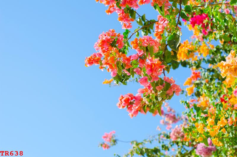 TR638 - TRANH LED 3D ĐÍNH ĐÁ Ở HẬU GIANG TRỪU TƯỢNG TR638 - TRANH LED 3D ĐÍNH ĐÁ Ở HẬU GIANG TRỪU TƯỢNG