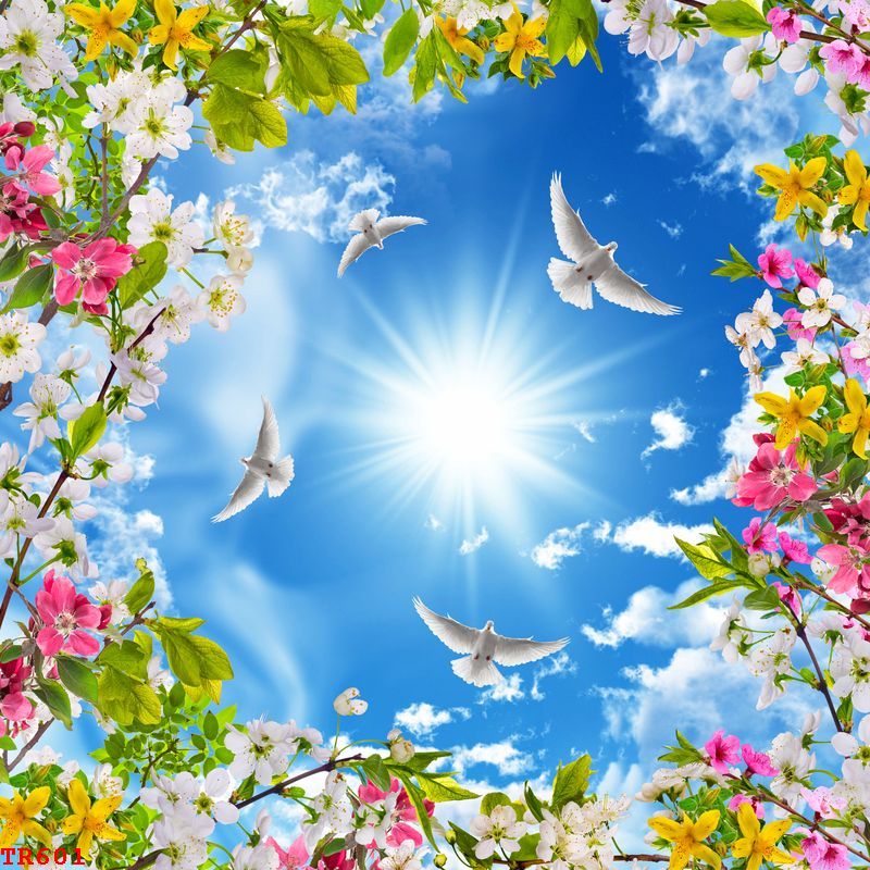 tranh led 3d dinh da o hau giang - TRANH LED 3D ĐÍNH ĐÁ Ở HẬU GIANG TRỪU TƯỢNG tranh led 3d dinh da o hau giang - TRANH LED 3D ĐÍNH ĐÁ Ở HẬU GIANG TRỪU TƯỢNG