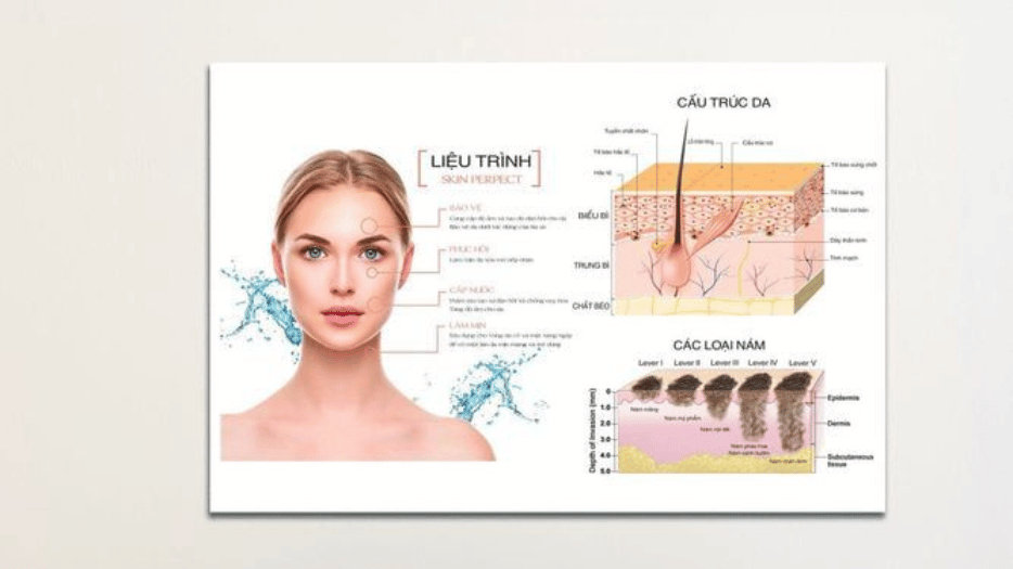 Tranh Spa Da Liễu File In Ấn 1 Sử dụng tranh spa da liễu file in ấn