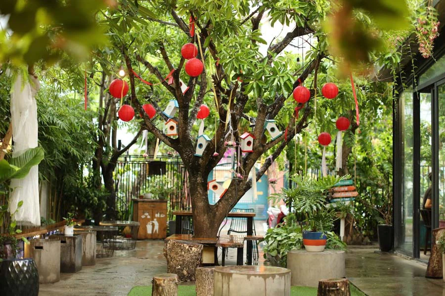 thi công thiết kế quán cafe sân vườn 50m2 chỉ 120 triệu ở Hà Nội thi công thiết kế quán cafe sân vườn 50m2 chỉ 120 triệu ở Hà Nội