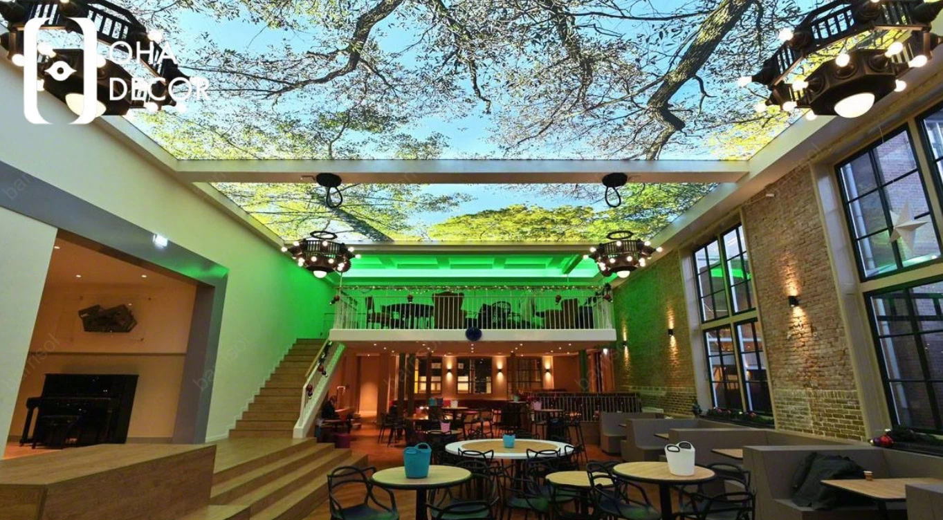 Trần nhà xuyên sáng cây xanh