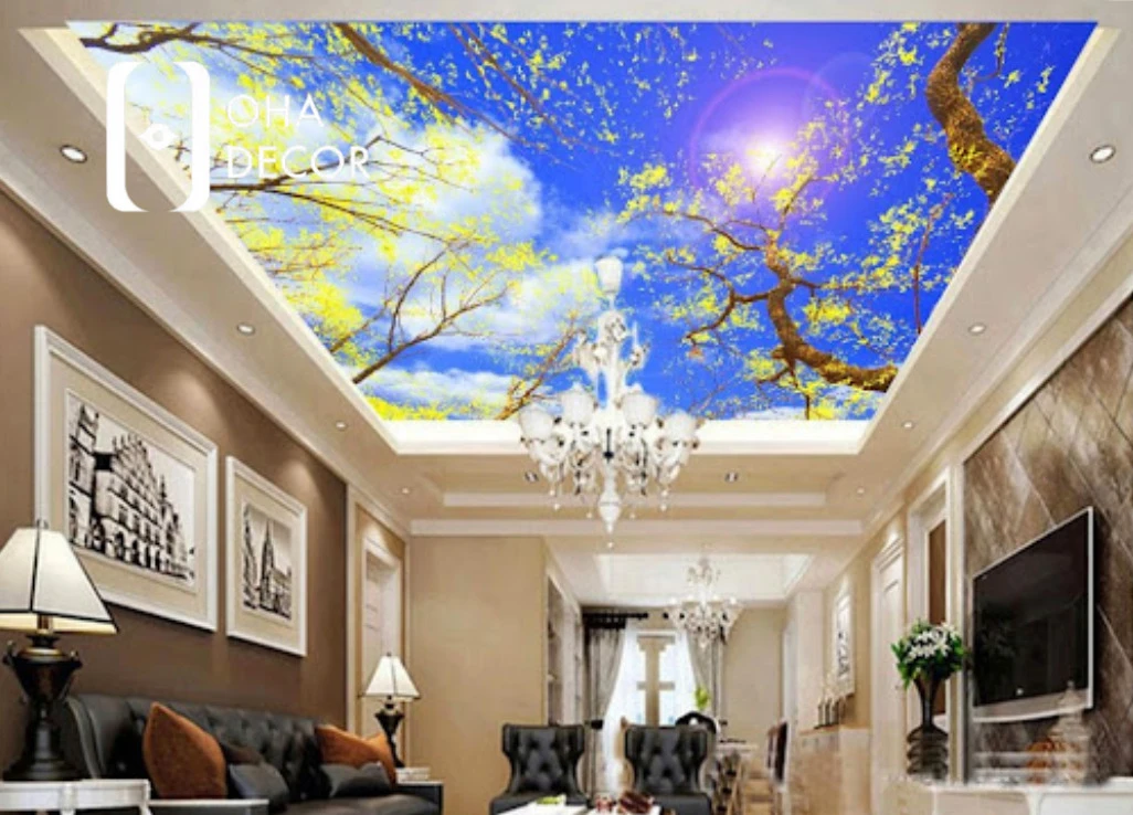 Trần nhà xuyên sáng cây xanh