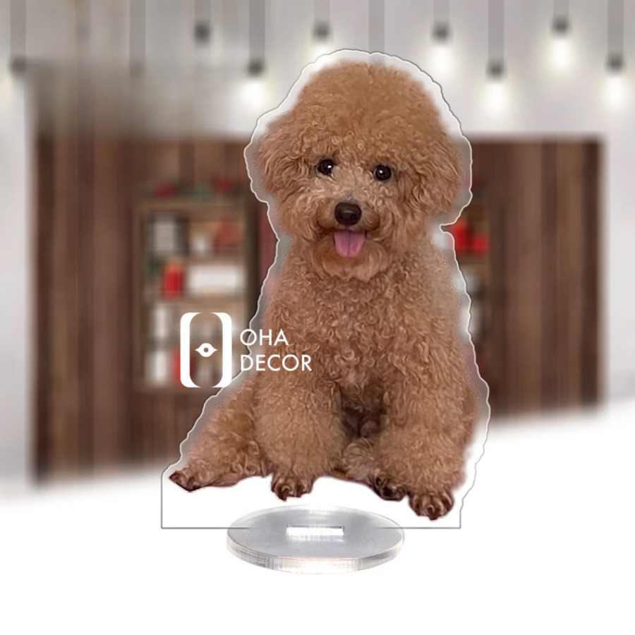 In ảnh lên mica Hưng Yên – Giải pháp trang trí hiện đại, bền đẹp và tinh tế 6 tu quan ao go go do 1 15