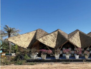 Làm nhà tre thiết kế thi công vật liệu tre trúc