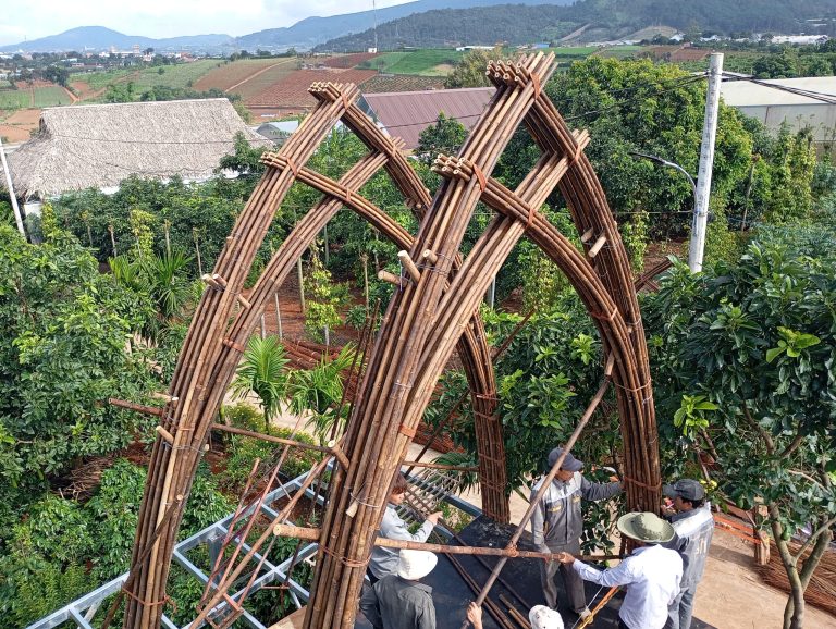 Nhà tre tầm vông chịu lực cao từ HTX Tố Lan