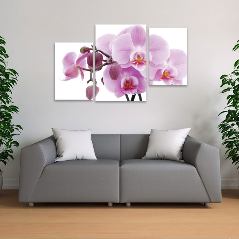 tranh canvas tràn viền ở Sơn La